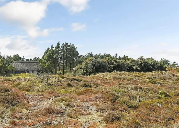 Bv417-blavand-nordslugen-5 Prázdninový dům